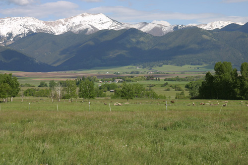 Thirteen Mile Farm, Belgrade, MT